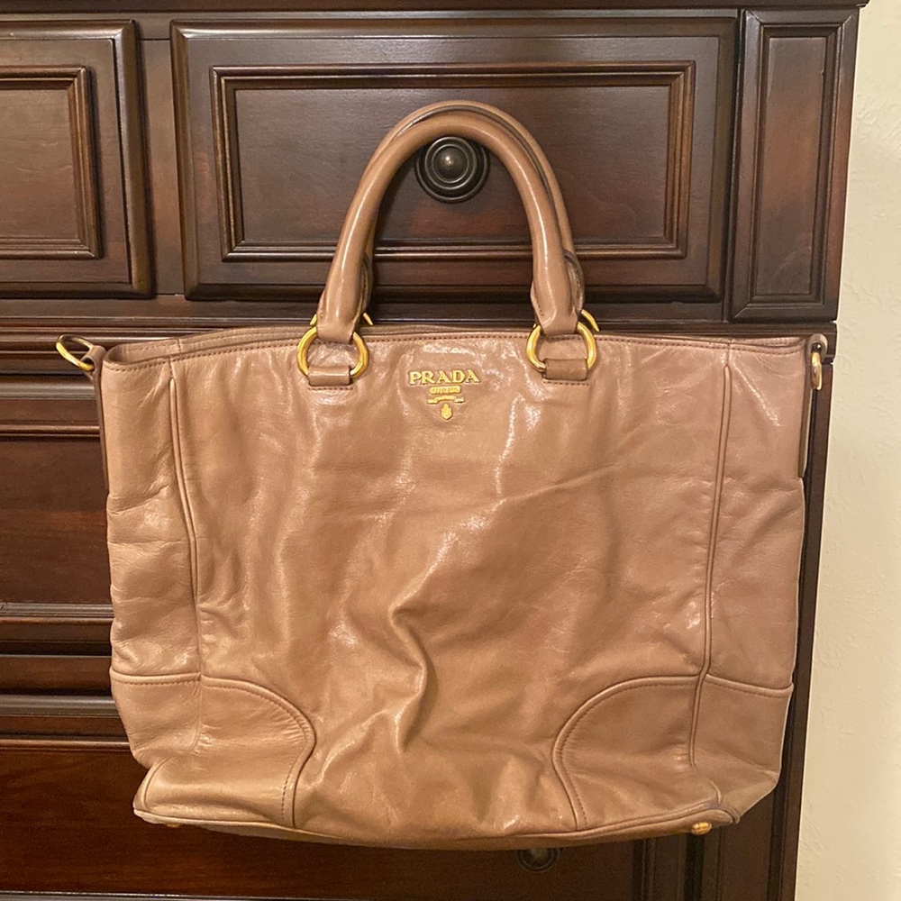 Prada Vitello Shine Bag (2 way)